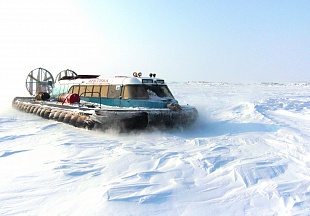 Амфибийное судно/вездеход на воздушной подушке «Арктика-3Д»